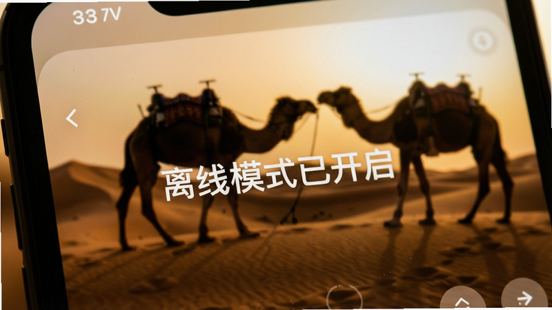 手机离线状态下的翻译界面特写,屏幕显示“离线模式已开启”提示,背景为沙漠与骆驼的模糊剪影,象征海外旅行场景,色调温暖,风格写实,细节清晰,主体突出,布局紧凑,画质高,无杂乱背景,文字
