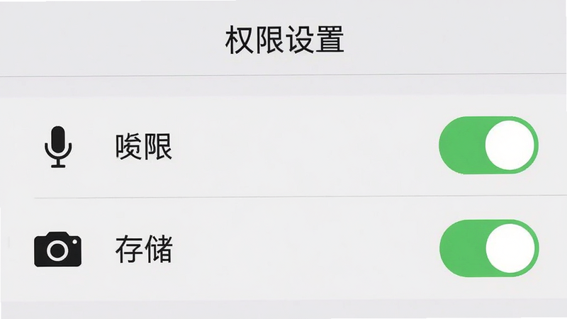手机设置权限界面截图,显示麦克风、相机、存储权限开关均为开启状态,背景为浅灰色,图标清晰,风格扁平,细节准确,主体突出,布局简洁,画质高,无多余元素,文字