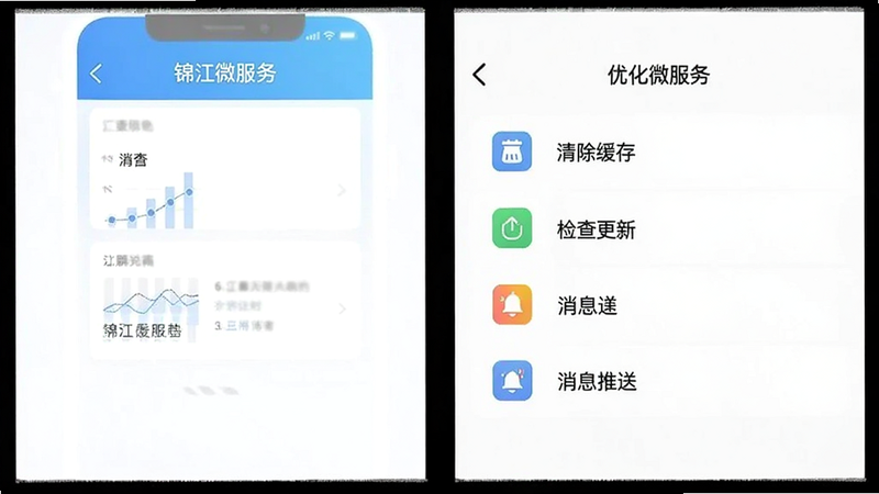 “锦江微服务”APP的设置页面预览,显示“清除缓存”、“检查更新”、“消息推送”等选项,界面简洁,图标清晰,背景为白色,体现优化技巧,高清,无多余元素