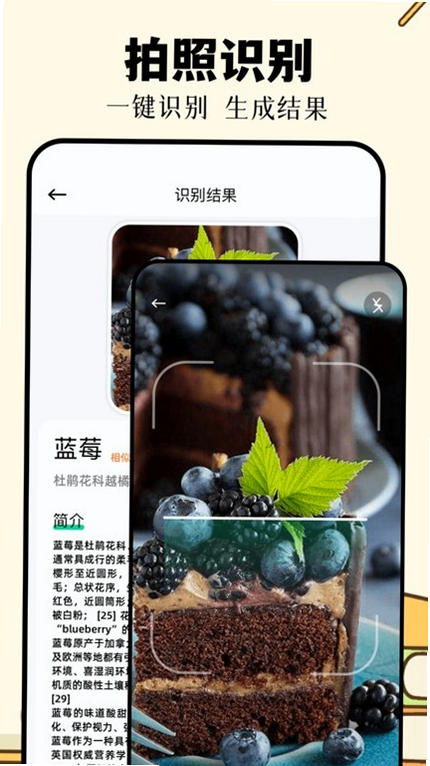 识向 安卓版 功能演示 界面截图