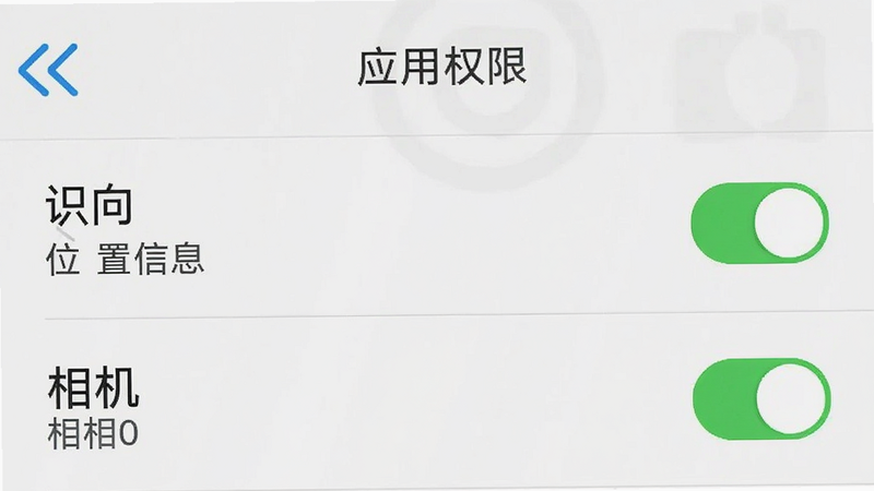 手机设置界面截图,显示“应用权限”列表,其中“识向”的“位置信息”和“相机”权限开关为绿色开启状态,界面清晰,文字可读,扁平化设计,高清