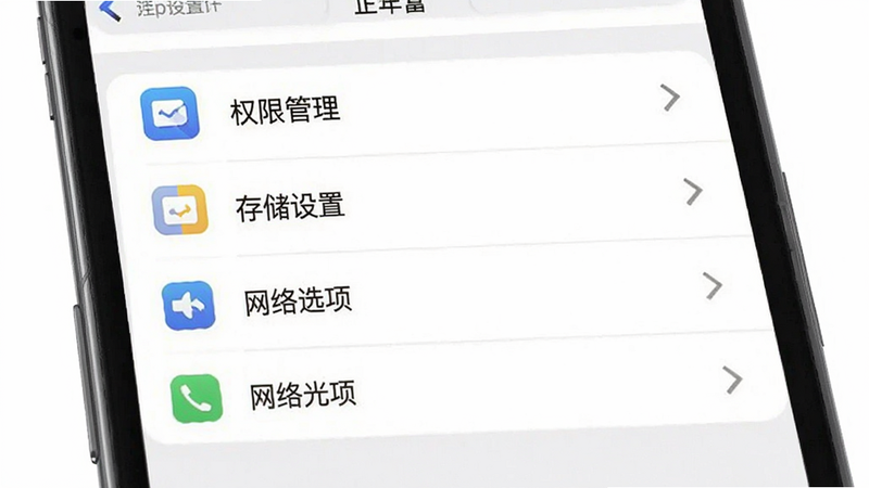 正年富APP设置界面预览,展示权限管理、存储设置、网络选项等列表项,风格简洁明了,图标清晰,背景为白色,高清细节,无多余元素