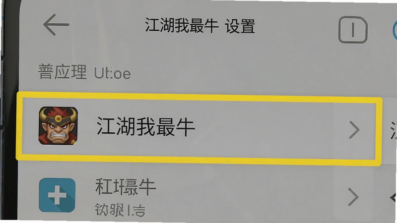 主体为手机设置界面截图,高亮显示应用管理中的“江湖我最牛”选项,布局清晰,风格为扁平化UI,细节明确,画质清晰,文字标注
