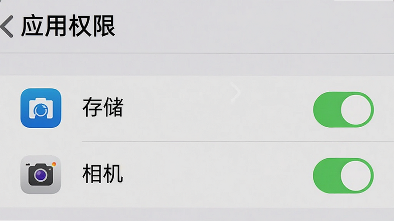 手机设置界面截图,显示“应用权限”列表,其中“存储”和“相机”权限已开启,背景为浅灰色,图标清晰,布局简洁,无其他干扰元素,高清,真实感强