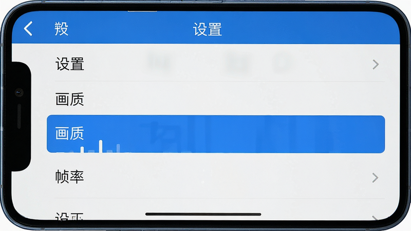 主体为手机屏幕显示《大话西游》设置界面,布局为列表形式,高亮显示