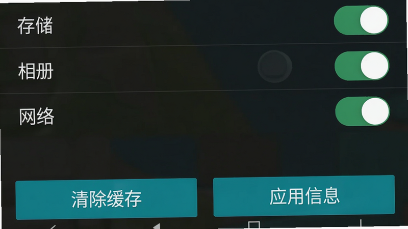 手机游戏设置界面示意图,展示权限管理页面。列出“存储”、“相册”、“网络”等权限开关,均为开启状态。界面下方有“清除缓存”和“应用信息”按钮。风格为安卓系统原生UI,简洁明了,画质清晰,无多余图标。