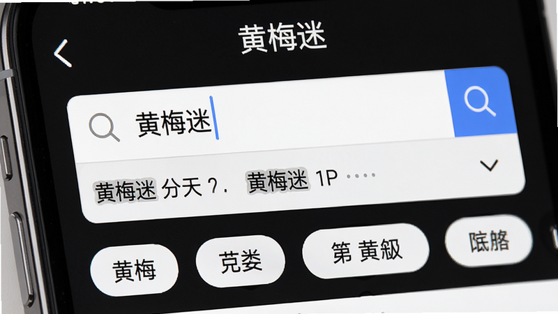 主体为手机搜索界面,展示“黄梅迷”APP的搜索框及下拉联想词,布局清晰,搜索框位于顶部,下方为分类标签,风格为极简主义,细节包含放大镜图标,画质高清,干净,无多余元素,文字“黄梅迷”在顶部
