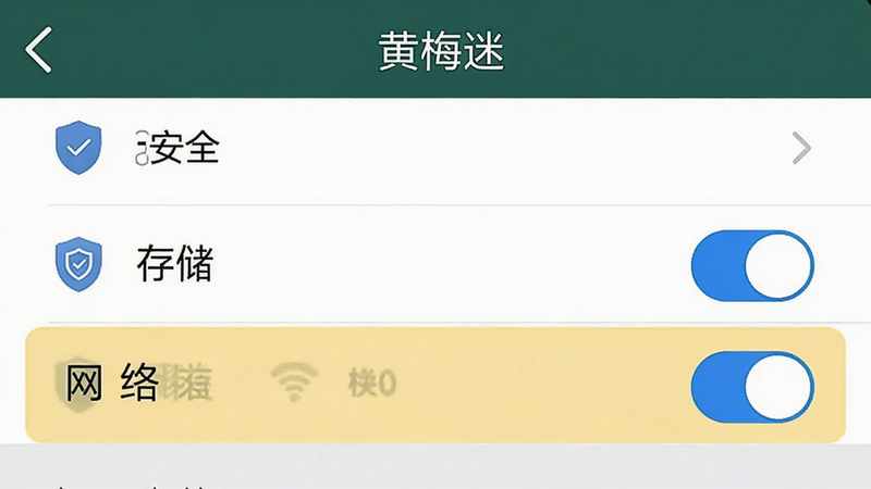 主体为手机设置界面示意图,展示“黄梅迷”APP的权限管理页面,布局为列表形式,高亮显示“存储”和“网络”权限开关,风格为系统原生UI,细节包含盾牌图标表示安全,画质清晰,干净,无多余元素,文字“黄梅迷”在顶部