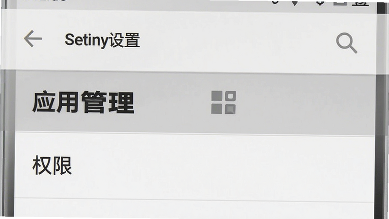 手机设置界面示意图,主体为安卓手机“设置”菜单,高亮显示“应用管理”和“权限”选项,布局垂直列表,风格扁平化,色调为浅灰色背景配深色文字,细节清晰,画质高清,干净无多余元素,文字“应用管理”加粗显示