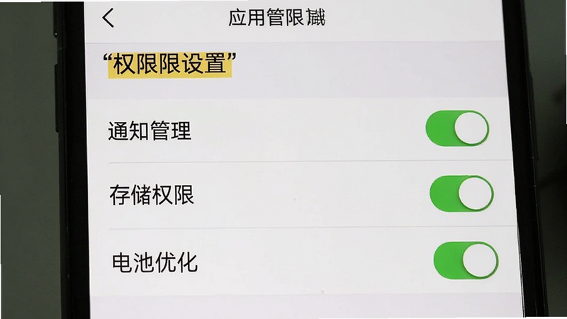 主体为手机设置界面截图,展示“应用权限管理”页面,布局为列表式,排版清晰,风格为系统默认UI,细节展示包含“通知管理”、“存储权限”、“电池优化”等开关状态,画质清晰,干净,无多余元素,文字“权限设置”加引号,高亮显示关键选项