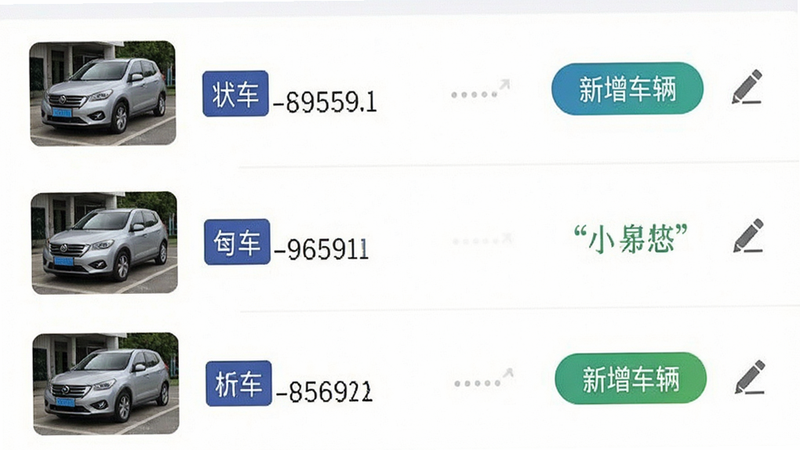 主体为提克停车App车辆管理界面,布局为列表式展示,每行显示车辆图片、车牌号及状态,风格为简洁列表风,细节展示‘新增车辆’按钮与编辑图标,排版整齐,画质清晰,无背景干扰,文字标注‘专属车辆档案’,文字加引号,无多余元素