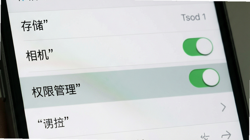主体为手机设置界面,布局为列表形式,高亮显示“权限管理”选项,排版简洁,风格系统原生灰白色,细节可见“存储”、“相机”权限开关状态,画质清晰,干净,文字加引号
