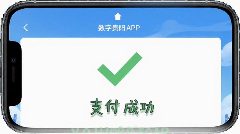 ���ֹ���APP֧���ɹ�ҳ���ģ��ͼ����ʾ��ɫ�Թ��͡�֧���ɹ������������־��У���������죬���壬�޶���Ԫ��