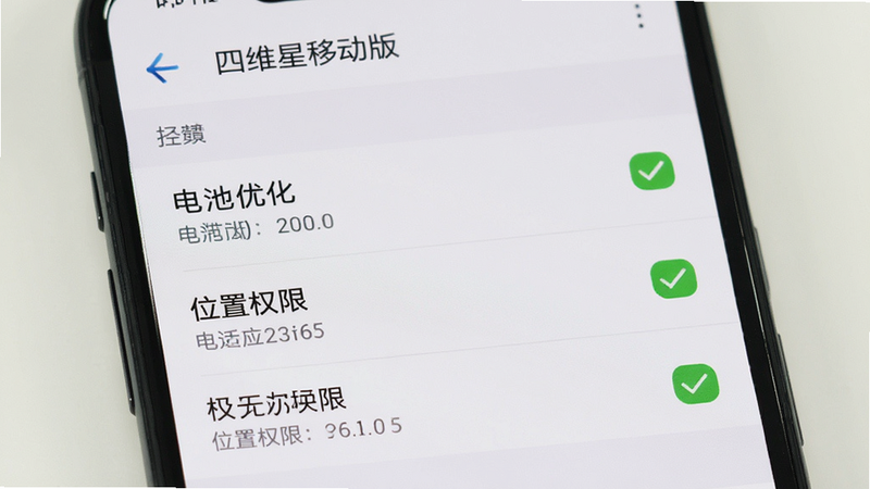主体为