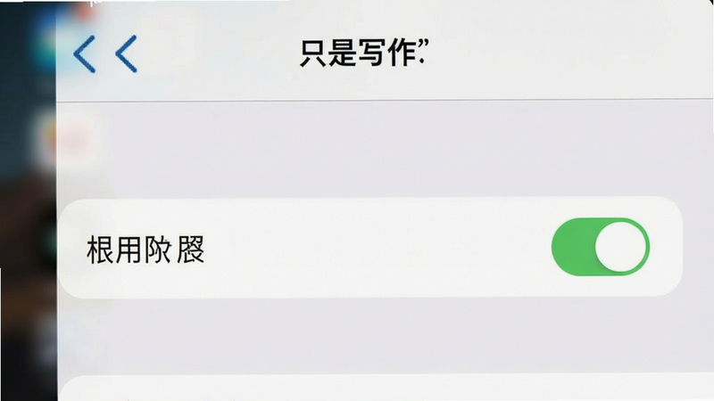 手机设置界面示意图,显示“只是写作”的应用权限管理页面,高亮显示存储权限开关,背景虚化,布局清晰,风格系统原生UI,细节体现勾选状态,画质清晰,干净,无其他干扰图标
