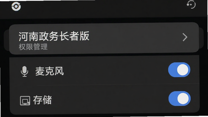 手机设置界面截图,高亮显示“河南政务长者版”的权限管理列表,勾选了“麦克风”和“存储”选项,背景为深灰色模式,文字清晰,布局规整,无其他干扰图标,4k高清