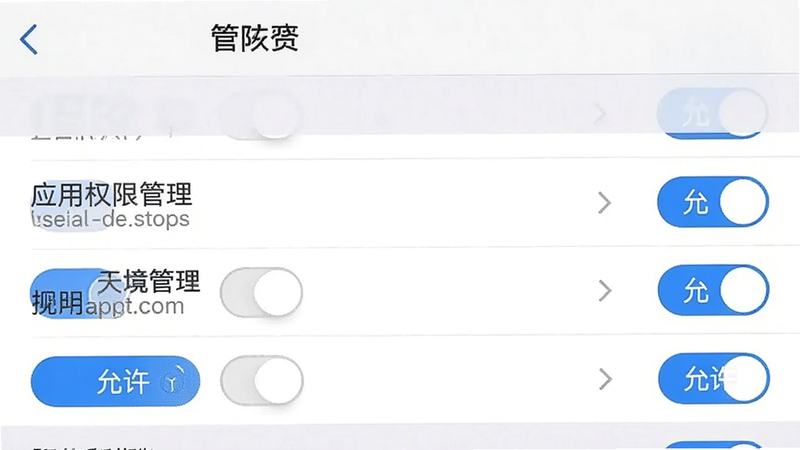 手机设置界面截图,显示“应用权限管理”页面,主体为权限开关列表,布局垂直排列,排版清晰,风格为系统原生设置界面,细节处有蓝色的“允许”按钮高亮,文字清晰,画质高,背景简洁