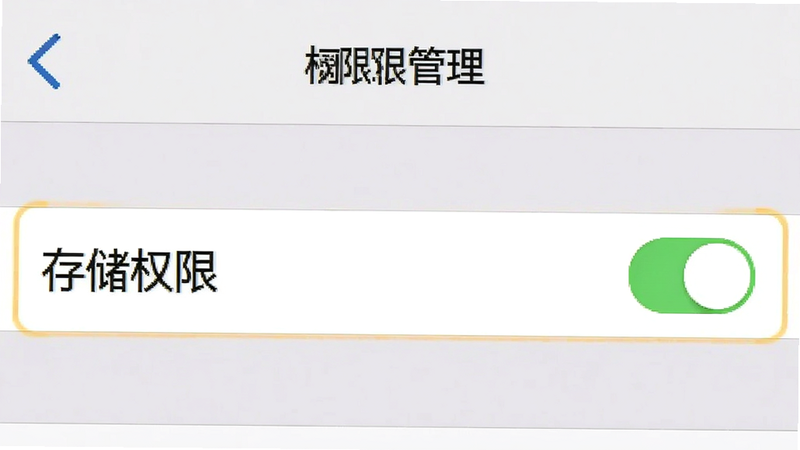 手机设置界面截图,显示“权限管理”选项,高亮“存储权限”开关,背景为浅灰色,图标清晰,UI元素标准化,高清,无模糊,布局规整