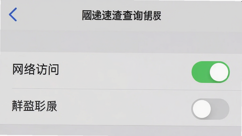 手机设置界面截图,主体为“快递速运查询”App的权限管理页面,显示“网络访问”权限已开启,其他权限关闭。布局清晰,风格简洁,细节体现开关状态,画质清晰,干净,无多余元素