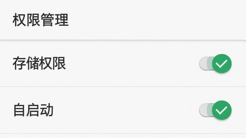 手机设置界面,显示“权限管理”页面,其中“存储权限”和“自启动”选项被勾选为开启状态,背景为白色,布局列表式,排版清晰,风格为安卓系统原生UI,细节包含开关按钮和勾选标记,画质清晰,干净,无多余元素