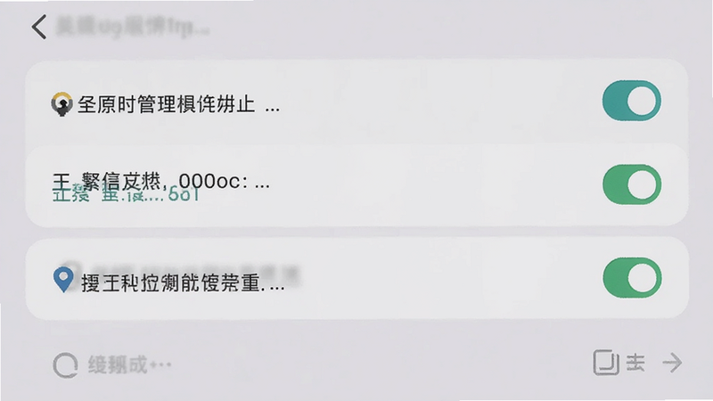 主体为手机设置界面截图,布局清晰展示权限管理选项,风格为UI界面展示,细节勾选状态清晰可见,画质清晰,背景为浅灰色,突出关键设置项