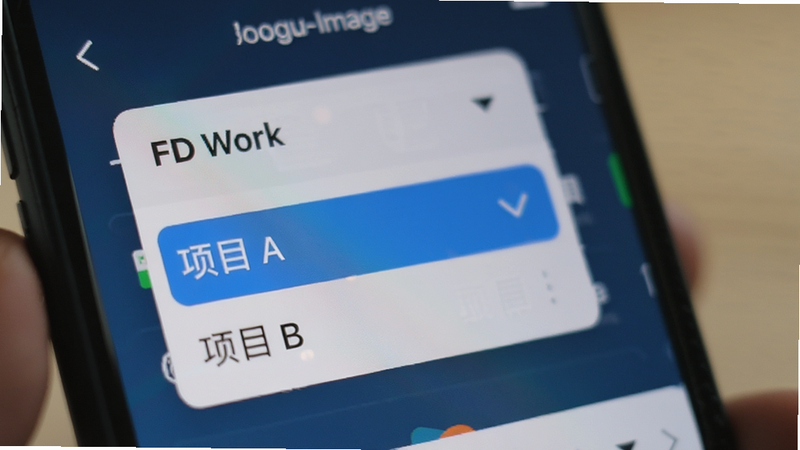 Boogu-Image �����д��ͷ���ֻ���Ļ�ֲ��Ŵ�չʾ FD Work Ӧ���ڵ���Ŀѡ�������˵���������ʾ����Ŀ A���͡���Ŀ B��ѡ������黯������ͻ����������ԣ�ɫ����ͣ�ϸ�ڷḻ�������ʸУ�������ˮӡ