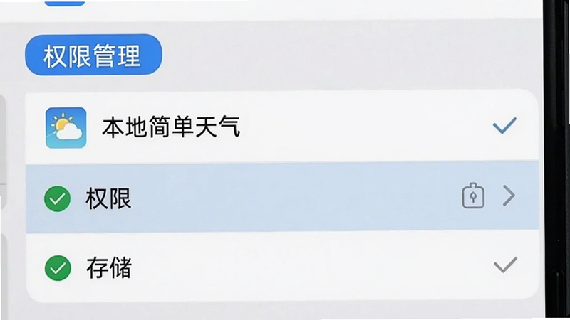 主体为手机设置界面截图,聚焦于“应用管理”中的“本地简单天气”条目,高亮显示“权限”和“存储”选项,布局清晰,排版规范,风格为系统原生UI,细节处有对勾图标,画质清晰,干净无干扰,文字“权限管理”以蓝色高亮显示