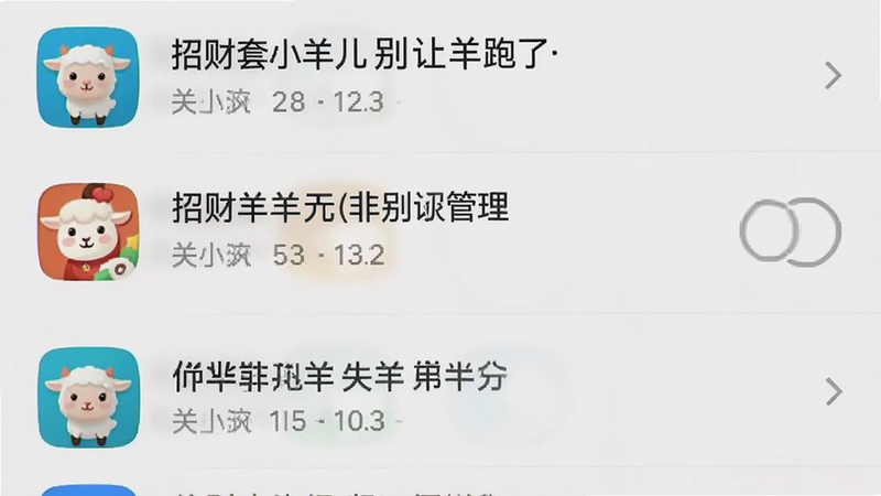 主体为手机设置界面截图,布局为列表式,排版清晰,风格为系统UI原色,细节展示权限管理页面中关闭了非必要权限的状态,画质清晰,干净,无多余元素,图中文字“招财套小羊儿别让羊跑了”在应用列表中显示
