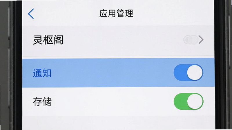 手机设置界面示意图,主体为“应用管理”中的“灵枢阁”权限设置列表,高亮显示“通知”和“存储”权限开关,背景为简洁的白色,布局清晰,排版规范,风格扁平化,细节真实,画质清晰,干净,无多余元素