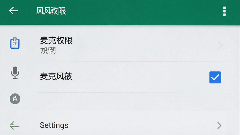 主体是一部安卓手机屏幕截图,显示权限设置界面,突出显示“麦克风”权限选项被勾选,背景为系统设置菜单,布局清晰,排版标准,风格为UI界面设计,细节准确,高清画质,干净,无多余元素,文字“麦克风权限”清晰可见