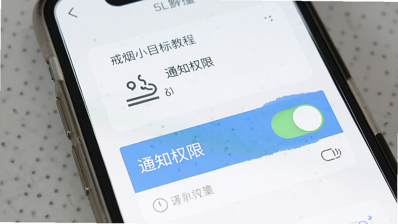 戒烟小目标使用教程示意图,主体为手机屏幕,展示权限设置页面,布局清晰,高亮显示通知权限开关,风格简约,细节准确,文字“通知权限”清晰,画质高,无多余干扰元素