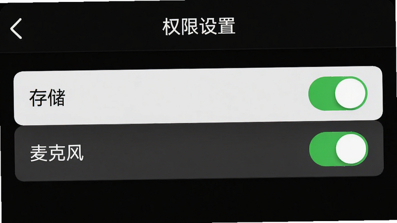 手机设置界面截图,显示“权限管理”页面,重点高亮“存储”和“麦克风”权限开关,背景为白色,风格简洁,细节清晰,画质高,干净无多余元素,文字显示“权限设置”
