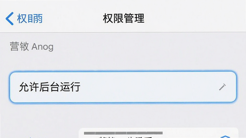 手机设置界面截图,显示“权限管理”页面,高亮“允许后台运行”选项,界面清晰,文字可读,布局规范,风格系统原生,细节准确,高清截图,无干扰元素