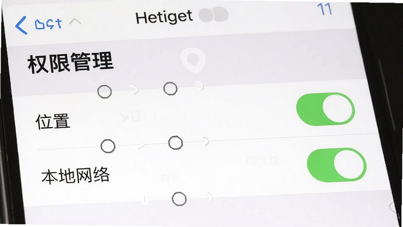 手机端设置权限的界面截图风格图,主体为手机设置页中的“权限管理”部分,布局为列表形式,排版整齐,风格为iOS/Android混合UI风格,细节高亮显示“位置”、“本地网络”开关为开启状态,画质清晰,干净,无多余元素