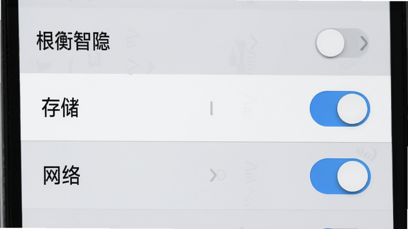 思衡智远移动端设置界面特写,显示权限管理列表,重点高亮“存储”和“网络”权限开关,背景为浅灰色,布局列表式,排版整齐,风格扁平UI,细节包含开关的滑动动画效果,画质清晰,干净,无多余元素