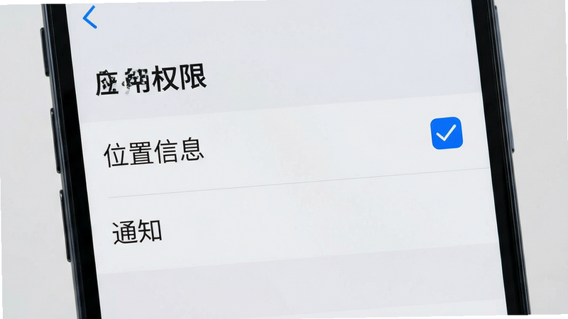 主体为手机设置界面截图,显示“应用权限”列表,其中“位置信息”和“通知”选项被勾选,背景为浅灰色,文字清晰,风格极简,细节准确,高清界面设计图,无多余装饰