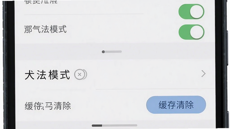 主体为手机设置界面截图,布局为列表形式,排版紧凑,风格为系统原生UI,细节展示权限开关状态、大字模式选项、缓存清除按钮,画质清晰,干净,无多余元素