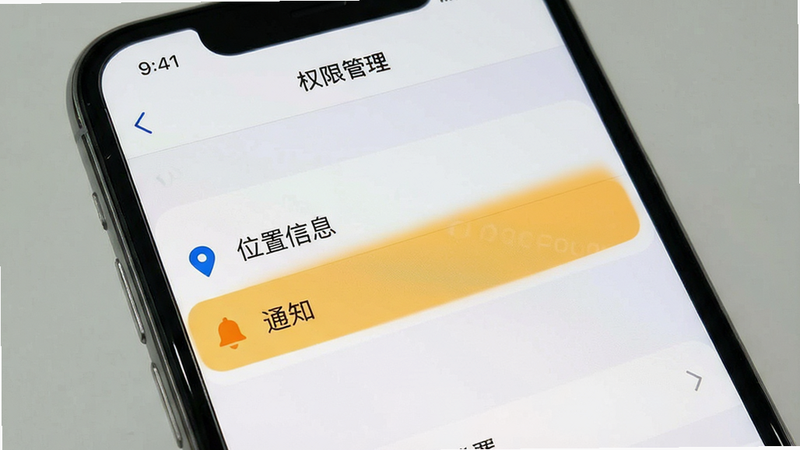 一张展示手机设置界面的示意图,屏幕显示“权限管理”页面,其中“位置信息”、“通知”选项被高亮选中,风格写实,细节清晰,文字“权限设置”清晰可见,画质高,背景干净