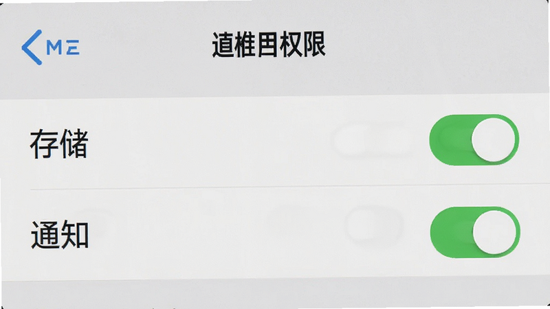 手机设置界面截图,显示“应用权限”页面,高亮显示“存储”和“通知”权限开关,布局清晰,风格系统原生,细节展示开关状态,画质清晰,干净
