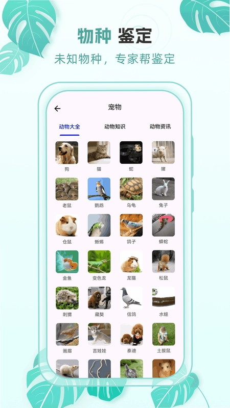 宝宝动物世界宝宝巴士截图0