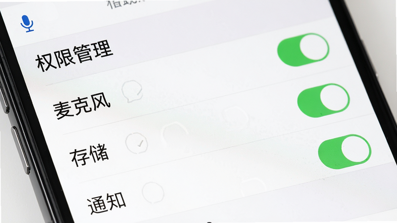生成一张手机应用设置界面的特写图,主体为“权限管理”设置页,列表中包含“麦克风”、“存储”、“通知”等选项,每个选项右侧有绿色开关处于开启状态,界面简洁,背景为白色,文字清晰,风格扁平化,高清细节,无其他干扰元素