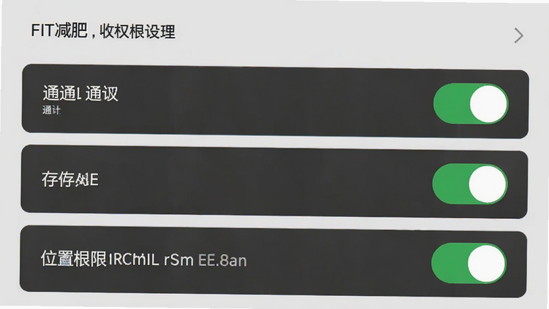 Fit减肥软件的设置页面截图,重点展示权限管理选项,包括通知、存储、位置权限的开关状态,界面清晰,文字易读,背景为浅灰色,突出关键设置项,高分辨率,无干扰元素