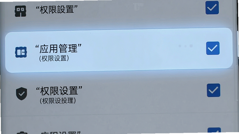主体为安卓手机设置界面,布局为垂直列表,高亮显示“应用管理”和“权限设置”选项,排版简洁,风格科技感,细节展示勾选状态,画质清晰,干净,无多余元素,文字加引号“权限设置”