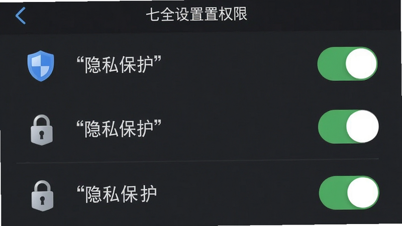 七品网APP安全设置界面图,主体为权限管理列表,布局为开关式选项,排版整齐划一,风格严肃专业,细节显示盾牌图标和锁形符号,画质清晰,文字内容用引号标注“隐私保护”,无多余装饰