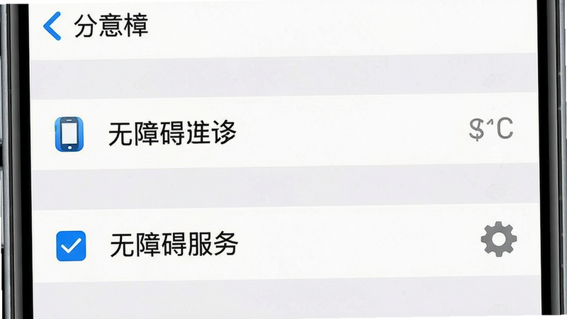 一张展示手机设置界面的示意图,显示“无障碍服务”选项被勾选,旁边有手机图标和齿轮图标,界面简洁明了,主体为设置菜单,布局垂直排列,排版清晰,风格系统原生,细节真实,画质高清,干净,无多余元素