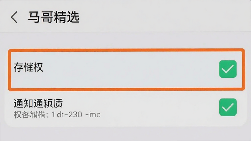 手机设置界面截图,显示“马哥精选”应用的权限管理页面,存储权限和通知权限均被勾选,界面清晰,突出关键权限项,背景为浅灰色,文字清晰可读,专业软件教程风格