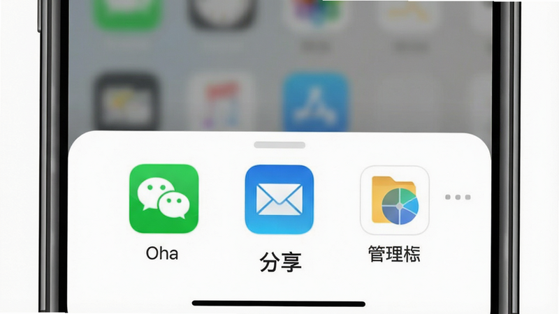 展示文件导出与分享界面的插图,主体为手机分享面板,布局为底部弹出式,排版整齐,风格为现代UI设计,细节包含微信、邮件、文件管理器图标,画质高清,干净,无多余元素,文字“分享”