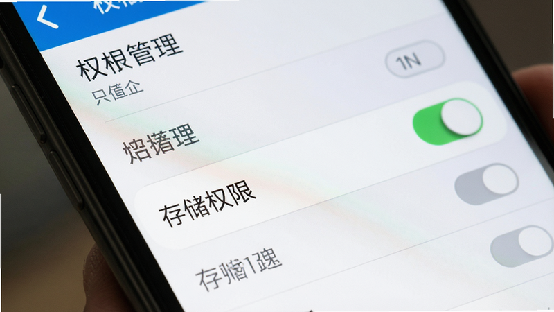 主体:手机设置界面特写,布局:列表显示权限管理选项,排版:垂直排列,风格:系统原生,细节:高亮“存储权限”开关,画质:清晰,无杂讯