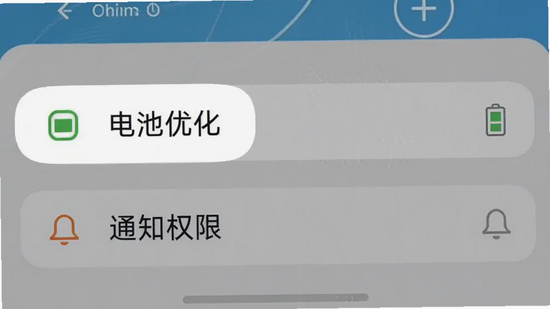 手机设置界面截图,重点高亮显示“电池优化”和“通知权限”两个选项,界面清晰,字体易读,风格简洁,细节准确,画质清晰,无干扰元素