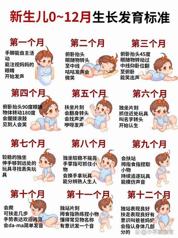 宝宝成长乐园 安卓版 功能对比表